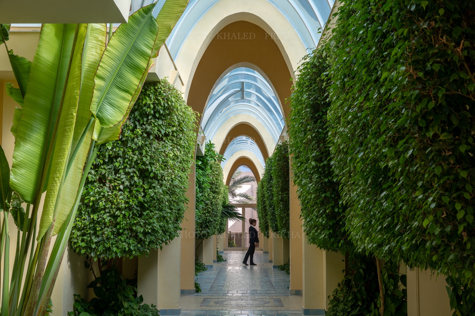 Hasdrubal prestige 11 2019 17